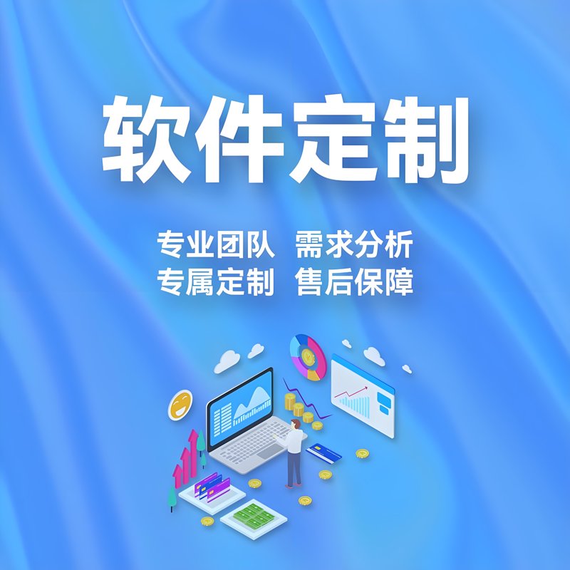 软件定制——企业信息化的加速器